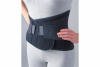 Industrial Lumbar Support